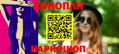 гидра Будённовск