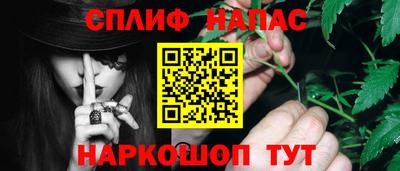 гидра Будённовск