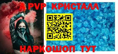 гидра Будённовск