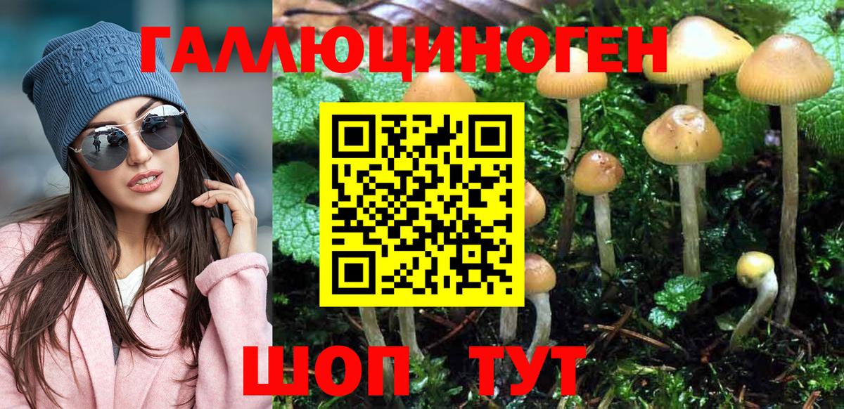 Псилоцибиновые грибы Psilocybine cubensis Протвино