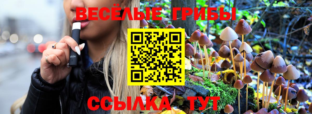 где можно купить наркотик  Вход с VPN  Протвино  Галлюциногенные грибы Psilocybine cubensis 
